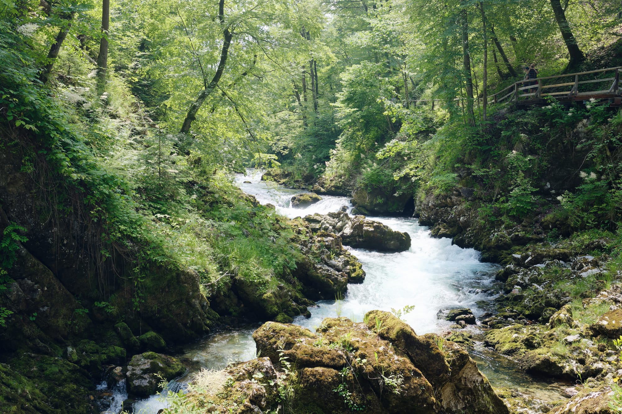 Slovenië - Vintgarkloof