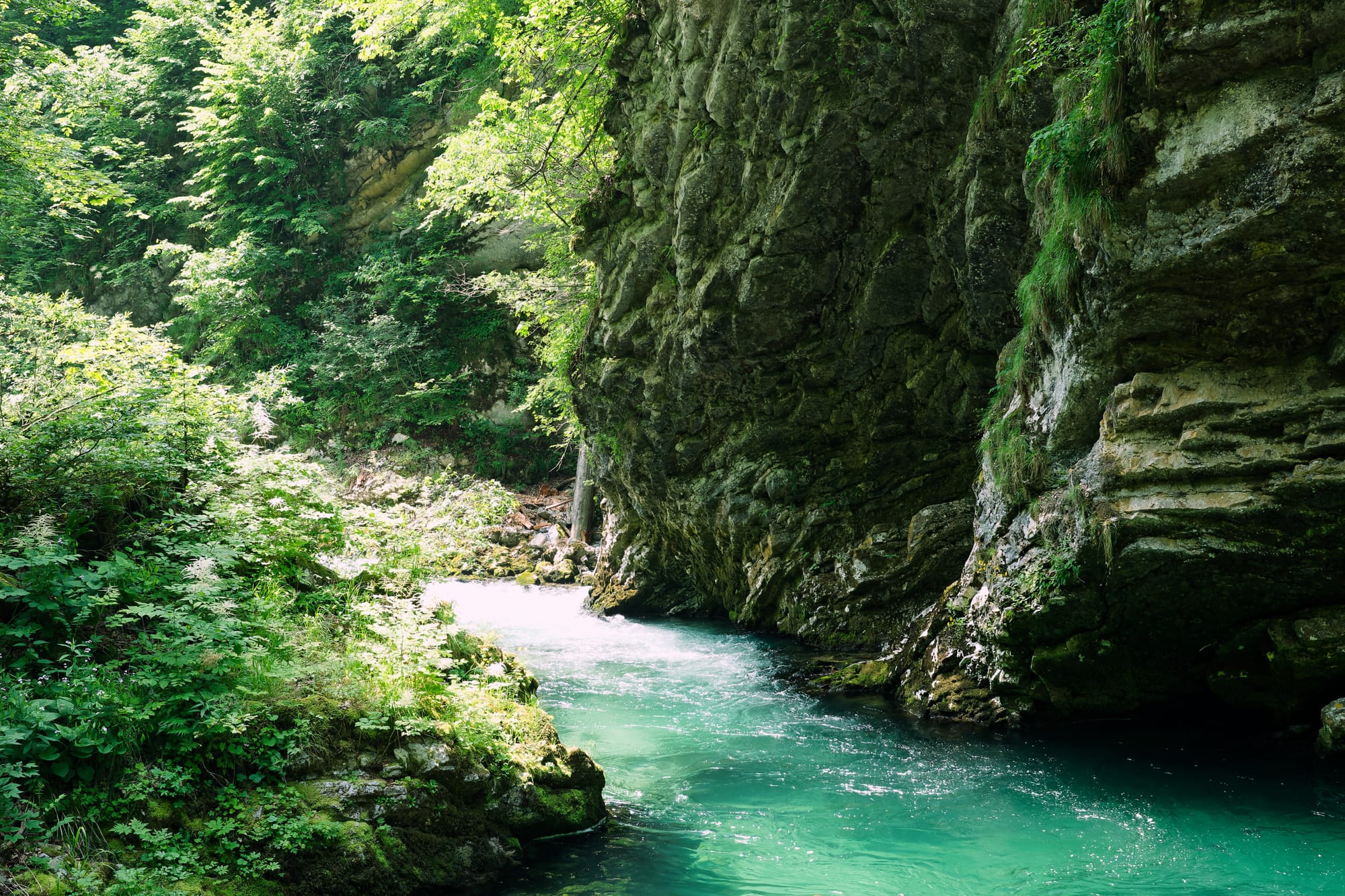 Slovenië - Vintgarkloof