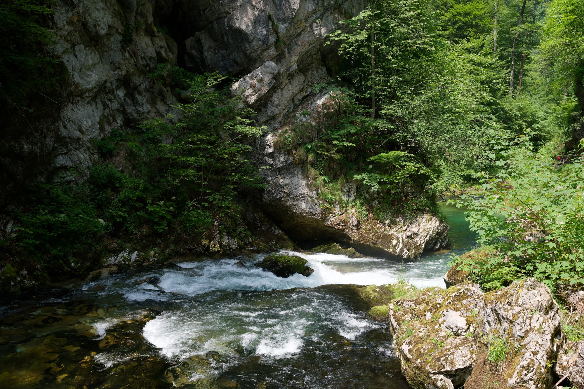 Slovenië - Vintgarkloof