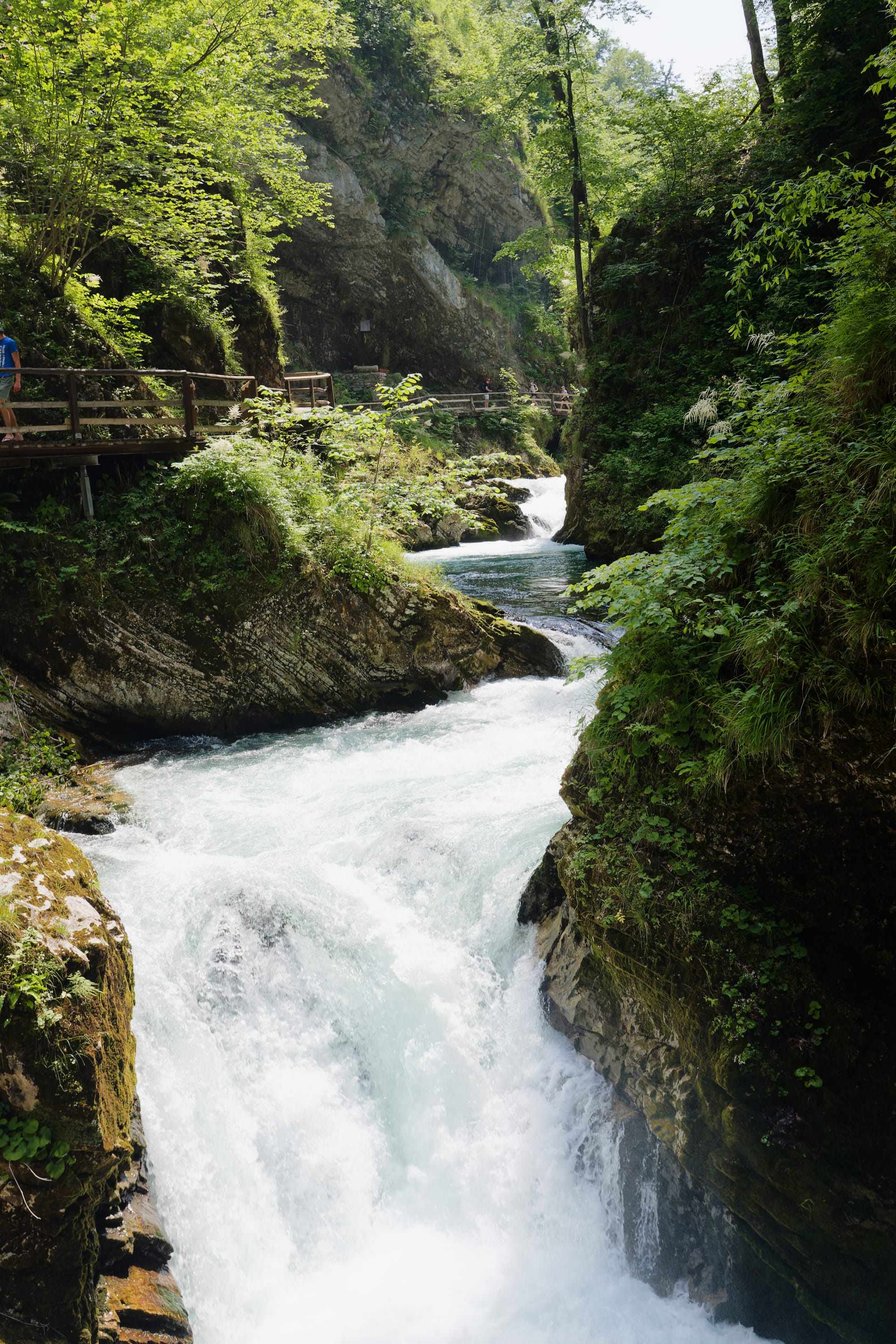 Slovenië - Vintgarkloof