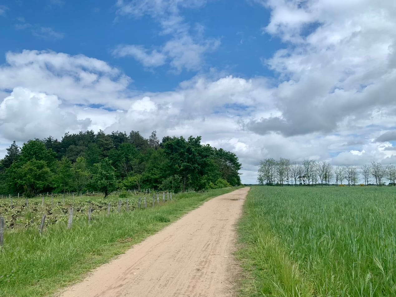 Gravel langs de Loire