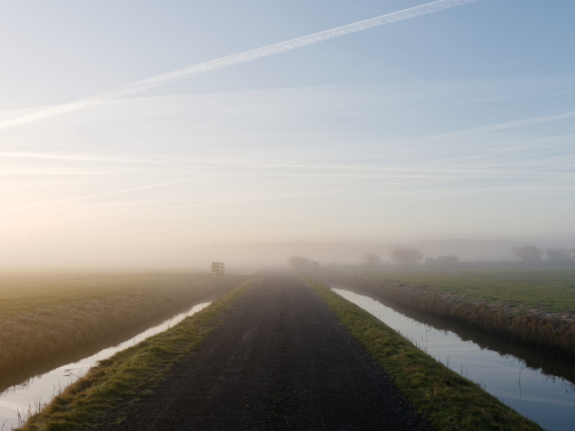 Hargerpolder in de mist, met de duinen op de achtergrond