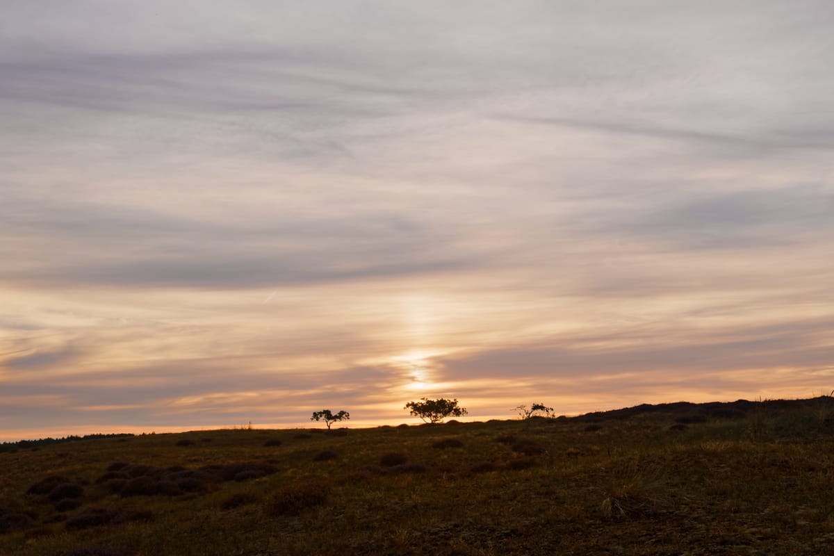 Zonsondergang in het duin